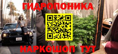 герыч Моздок