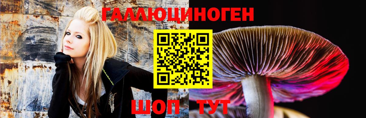Псилоцибиновые грибы MAGIC MUSHROOMS Топки
